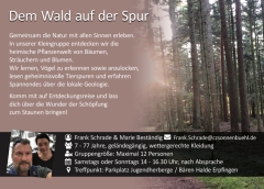 kleingruppe-demwaldaufderspur